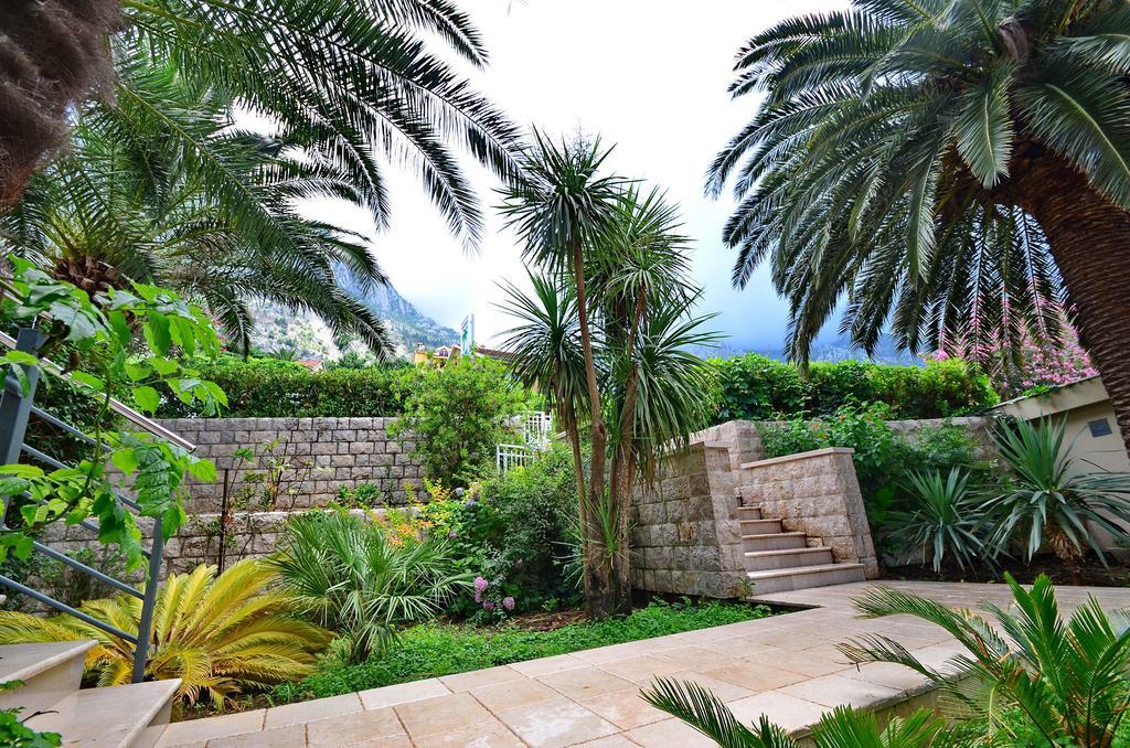 Palma Apartments โกตอร์ ภายนอก รูปภาพ